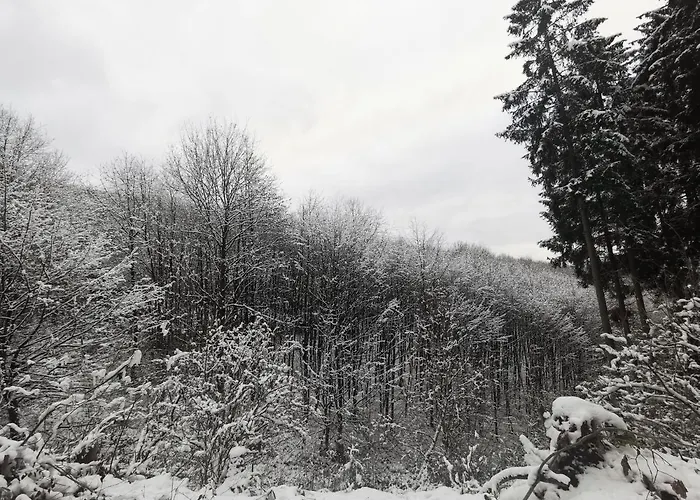 Ferienwohnung Rauszeit Lennestadt Sauerland