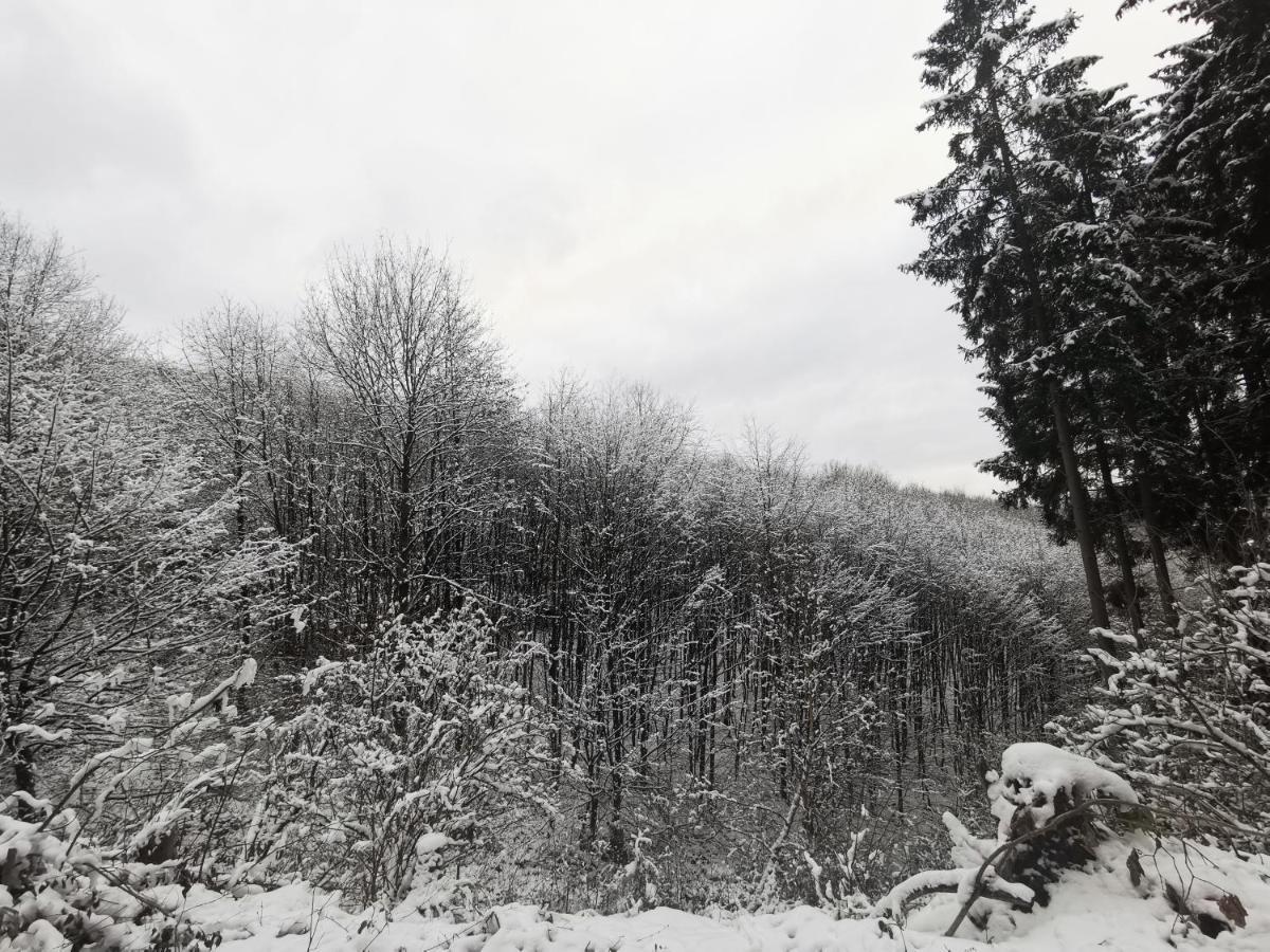 Rauszeit Sauerland Apartment